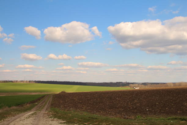A field with a dirt road and blue sky with clouds. Grass. Sky. Outdoor. Field. Grassy