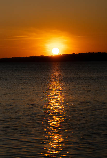 istock May 2024, Nature - Southern Sweden 2155753099