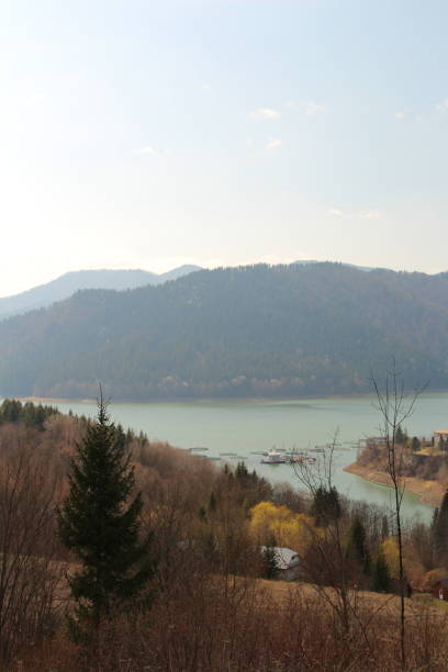 istock A lake surrounded by trees and mountains 2155753185
