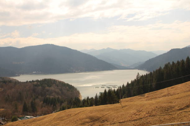 istock A landscape with trees and mountains in the background 2155753220