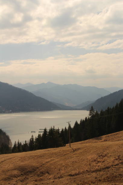 istock A landscape with trees and mountains in the background 2155753240