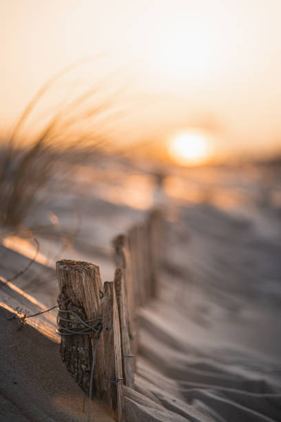 istock Idyllic sandy beach on Ile de Re, Charente-Maritime, France. Beautiful sunrise light on a cold day. 2155753354