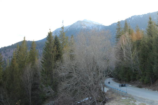 istock A road with trees and a mountain in the background 2155753731