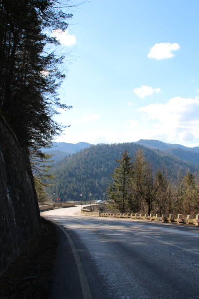 istock A road with trees and mountains in the background 2155753803