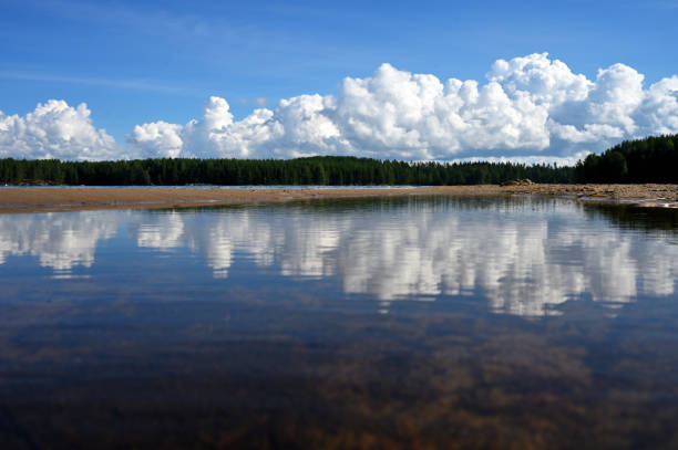 Finland lake scape at summer, shore of a lake somewhere in the depths of Finland, a good summer day. Vacation on the lake.