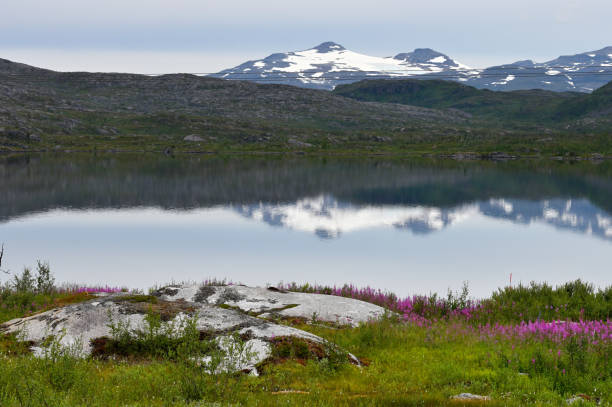 istock Abisko National park in Sweden 2155754169