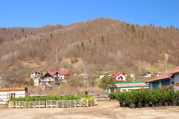 A group of houses in a valley. Outdoor. Sky. Ground. Area