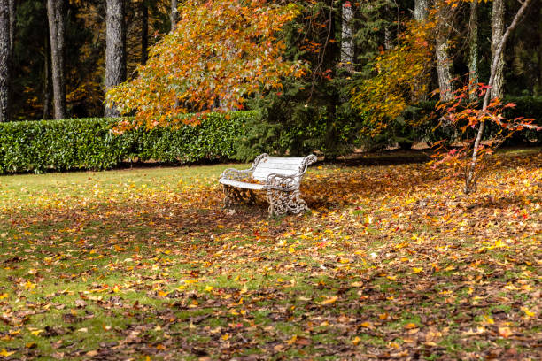 Cozy autumn chair with colorful pillows, crochet cushion, and seasonal plants in baskets. Surrounded by vibrant foliage and rustic garden decor, it creates a warm outdoor atmosphere perfect for relaxation and autumn inspiration