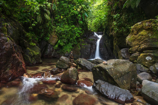 istock Martinique, waterfall in the rain forest 2155755982