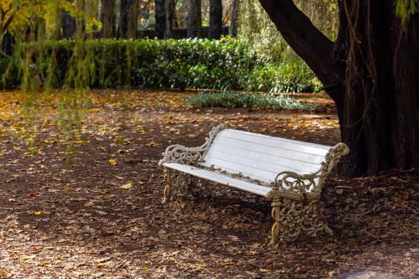 istock Old park bench in Autumn park, background with copy space 2155756182