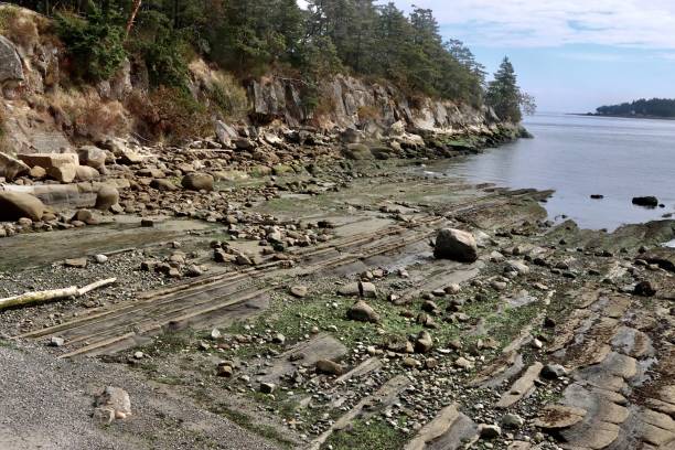 istock Unusual Beach On Galiano Island 2155764811