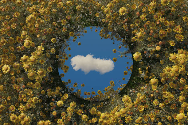 istock circular mirror reflecting single white cloud and surrounded by golden marguerites. Flat lay of nature style concept 2155764831