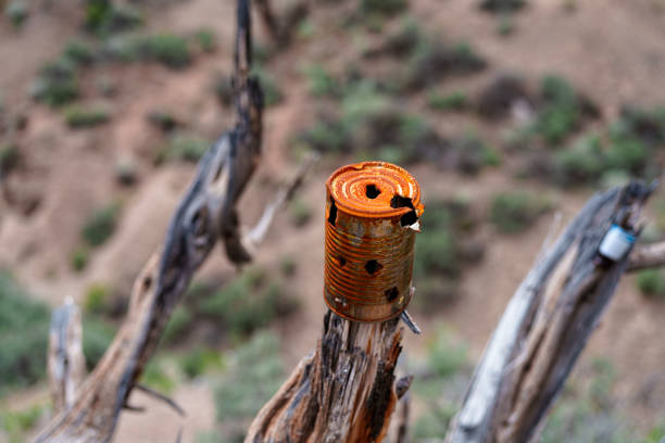 Bullet Riddled Old Rusty Can Hanging From Tree Branch - Textured can used for target practice left out in the elements.