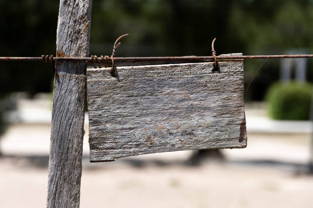 shot of an old wooden wagon cart used to transport cargo goods and people
