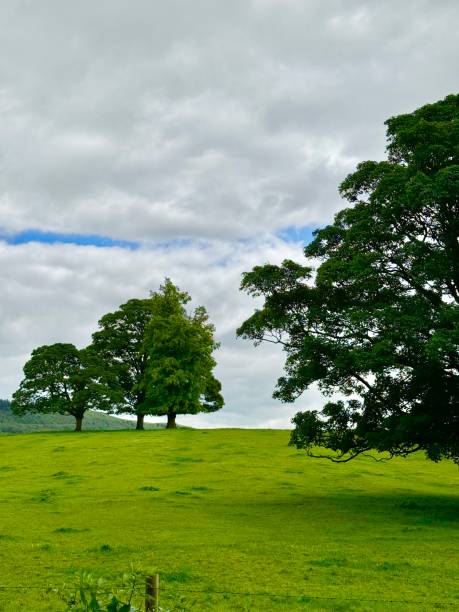 The Dales in Yorkshire include picturesque villages, waterfalls, hiking trails in glacial valleys, and moorlands.