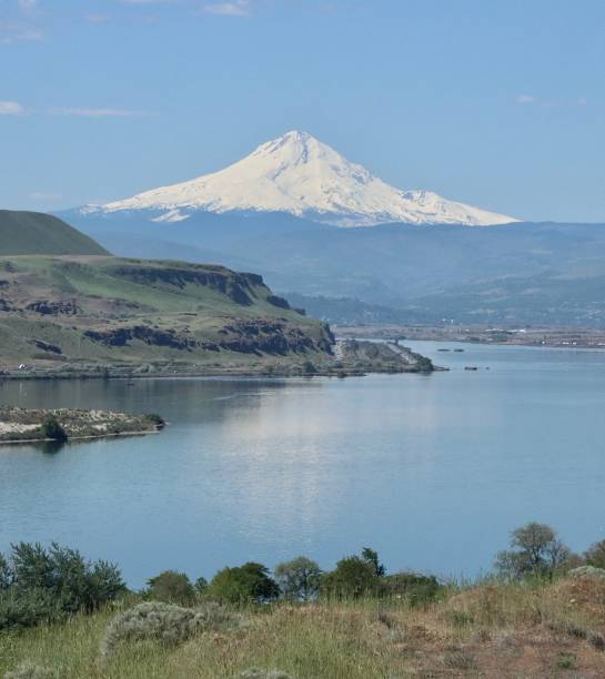 istock Mt. Hood In Oregon Reflected In The Columbia River 2155770083
