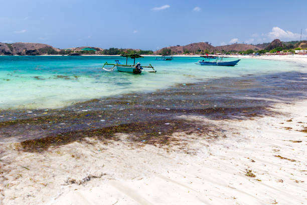 istock Plastic and other trash floating in a tropical ocean next to a beach 2155770134