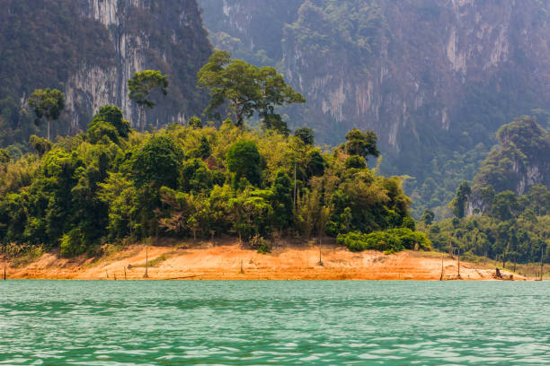 istock Thick tropical jungle and towering limestone cliffs in Khao Sok, Thailand 2155771390