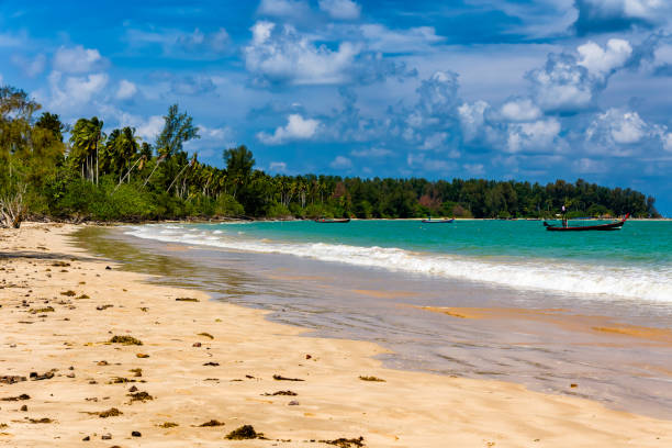 istock Thai longtail boats and a palm tree lined tropical beach 2155771393