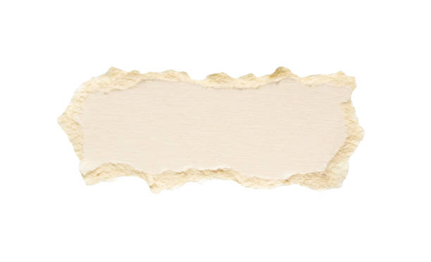 istock piece of white paper tear isolated on white background 2155774617
