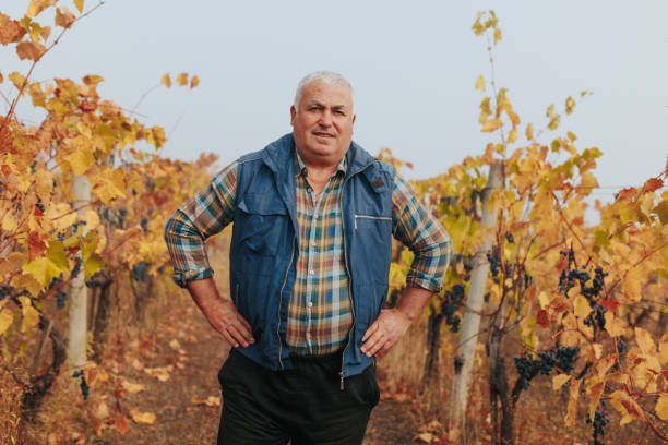 istock Autumnal Vineyard Symphony Senior Agronomist at Work. 2155775647