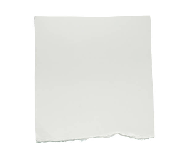 istock White ripped paper torn edges strips isolated on white background 2155775734