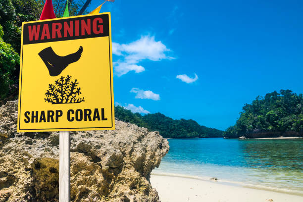 istock A sharp coral warning sign at a rocky beach. A stern warning for barefoot bathers. Tropical beach setting. 2155775767