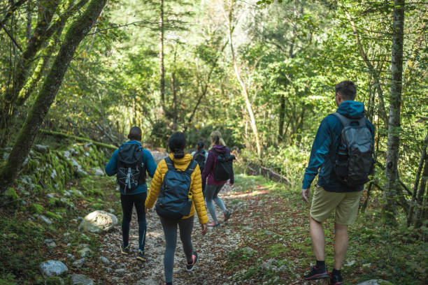 istock Diverse Group of Friends on Forest Hike 2155777904