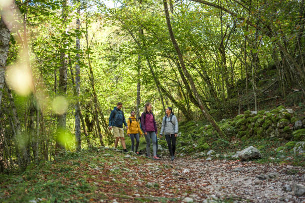 istock Group of Diverse Friends Hiking in Forest 2155777906
