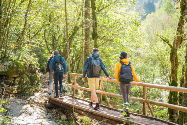istock Diverse Group of Friends Enjoying a Hike in the Forest 2155777926