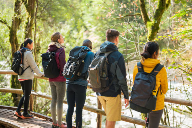 istock Diverse Group of Friends Enjoying a Hike in the Forest 2155777928