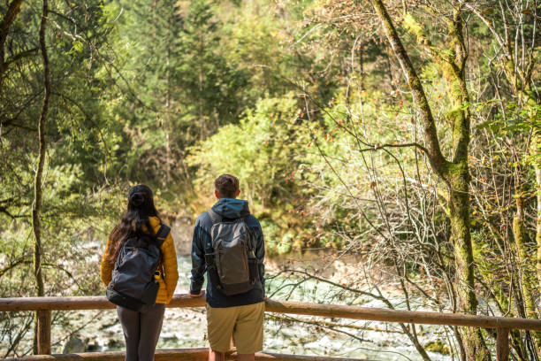 istock Diverse Friends Enjoying Forest Hike Together 2155777956