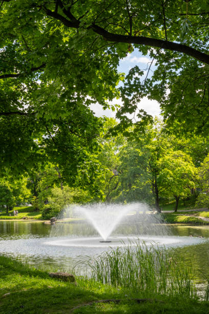 istock Fountain in Washington Park Lake 2155779458