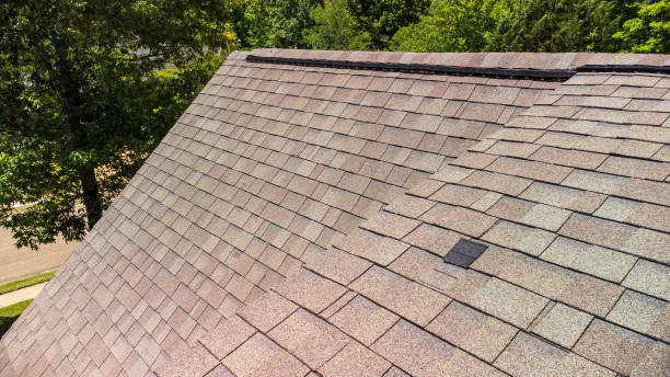 istock Old shingle roof with damage and space for text 2155781690