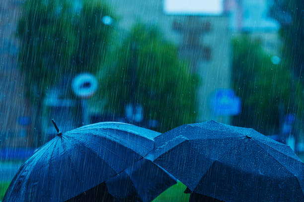 it's raining outside. raindrops on umbrella. - yağmur stok fotoğraflar ve resimler