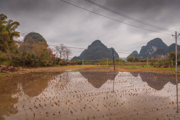 Beautiful Li river bamboo side Karst mountain landscape in Yangshuo Guilin, China