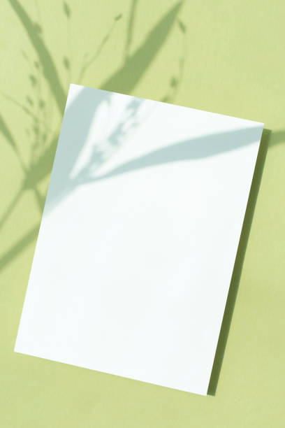 Plant Shadows and Card Mock-up