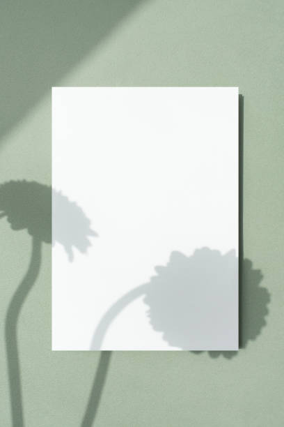 Plant Shadows and Card Mock-up.