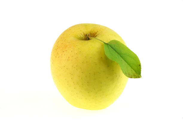 Apple on white background
