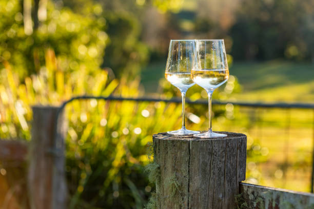 istock White wine glass outdoors sunny farm 2155794061