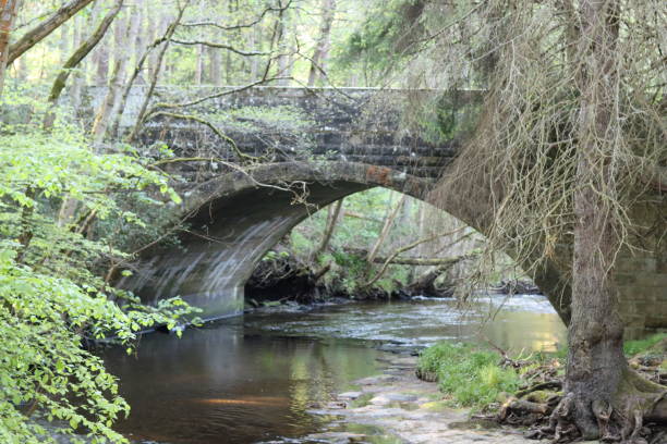 istock Old stone arch bridge over a woodland river 2155797258