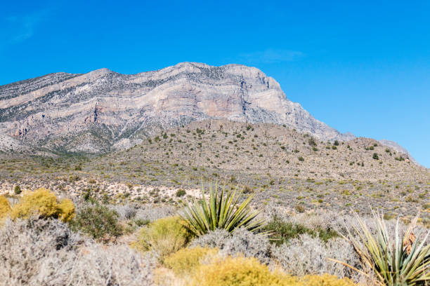 mountain scape, natural landscape