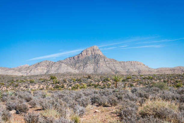 mountain scape, natural landscape