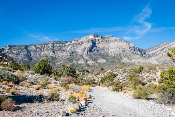 istock Red Rock Canyon National Conservation Area 2155797901