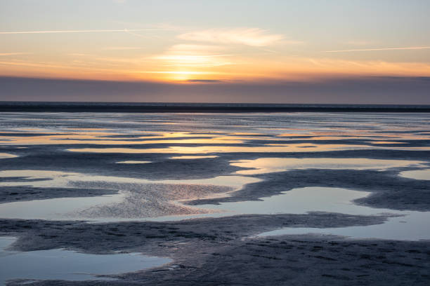 istock ebb on North Sea  in Germany 2155800003