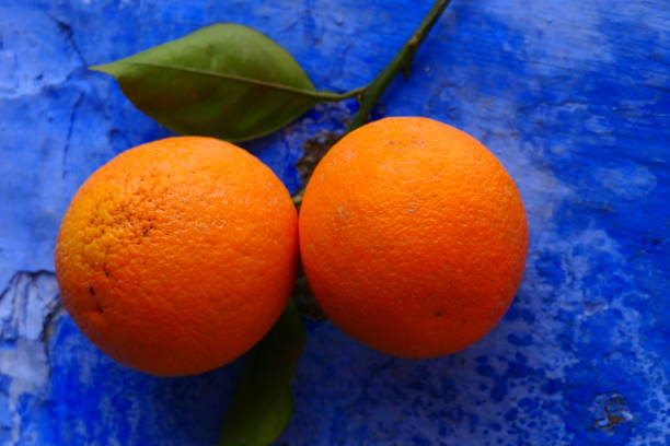 Chefchaouen, Morocco : oranges in front of a blue wall