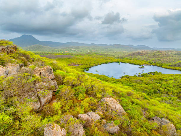 istock Aerial view over a blooming Caribbean island 2155809189