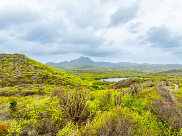 istock Aerial view over a blooming Caribbean island 2155809338