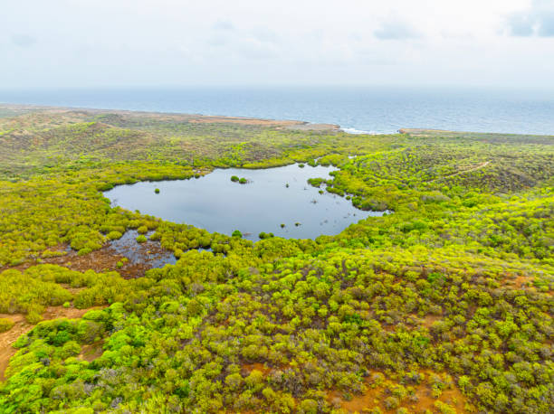 istock Aerial view over a blooming Caribbean island 2155809421