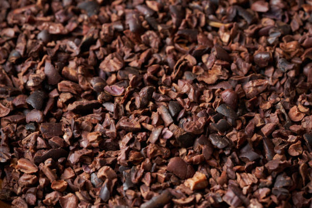 istock close up cacao cocoa nib background food texture 2155809764